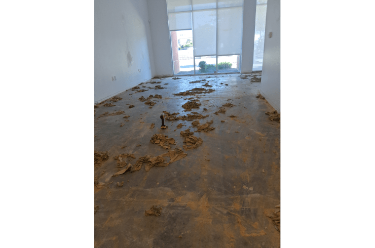 Wolfs Remodeling